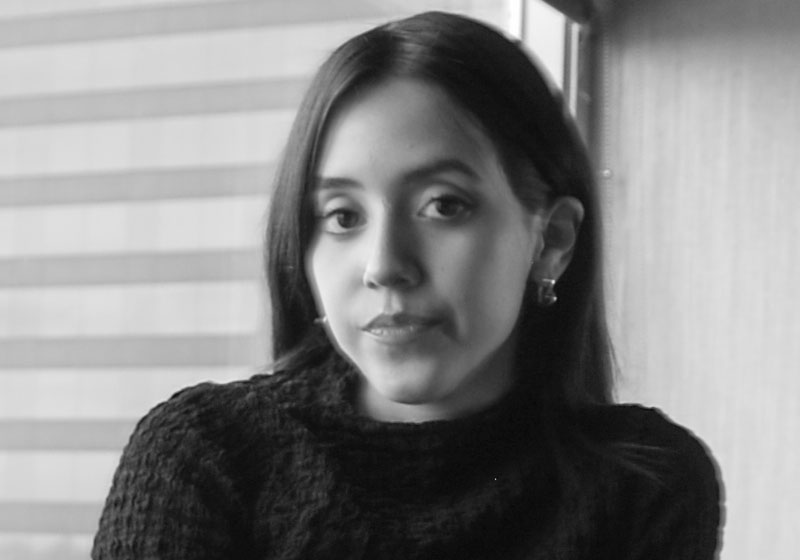 Ana Sofia Valdez Blanco