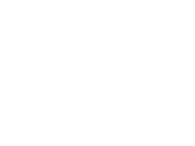 ZZ Media