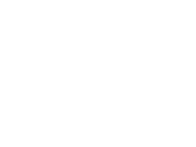 ZZ Media